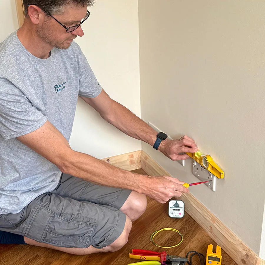Domestic Electrical Services Domestic Electrical Services